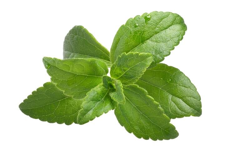 diabétesz kezelés növény stevia